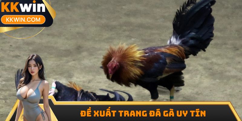 Đề xuất trang đá gà uy tín