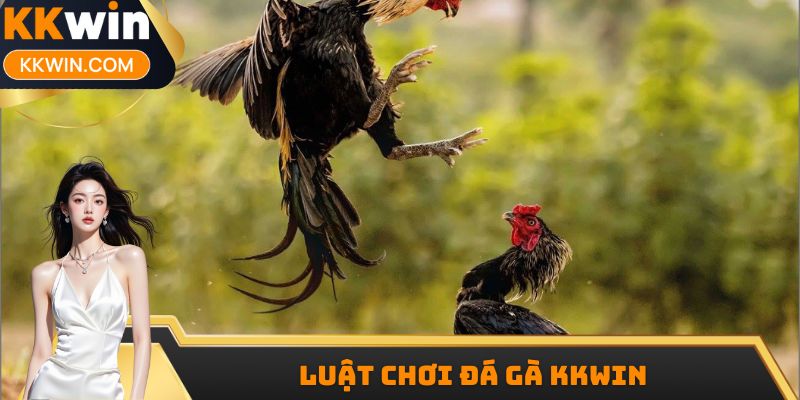 Luật chơi đá gà KKWIN